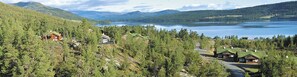 A cabin area with multiple houses surrounded by dense forest and a lake.