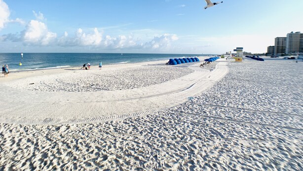 A beach with sand, a seagull, and a lifeguard tower.