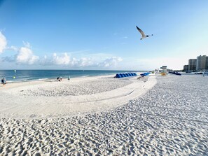 Una playa con arena, una gaviota y una torre de salvavidas.