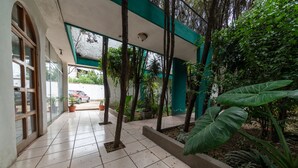 Un espace extérieur abrité, doté d’un sol carrelé, de plantes en pot et d’arbres.