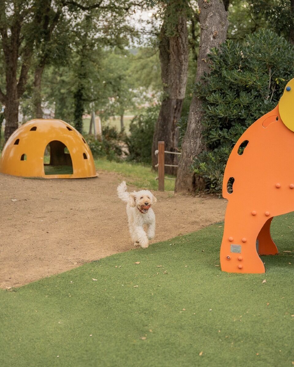 A dog running on a dirt path with a grassy area and a large orange structure in the background.