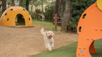 A dog running on a dirt path with a grassy area and a large orange structure in the background.