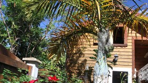 Une maison en bois avec une clôture en bois, un palmier et des fleurs rouges au premier plan.