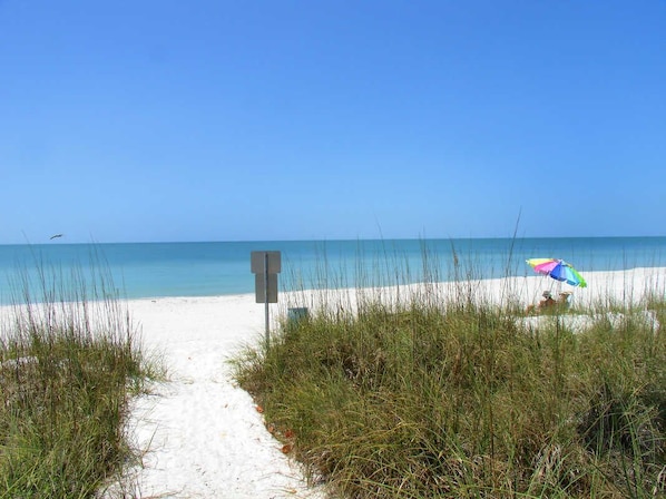 On the beach, sun-loungers, beach towels - Waterfront Home, Dock and Beach (INDIAN ROCKS BEACH)