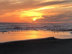 Una playa cerca
