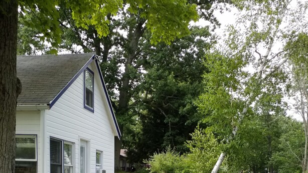 A house with a deck overlooking a calm river, surrounded by lush greenery and a small dock with a boat. - Adorable Cottage Townline Lake Paradise. Boat Kayak Fish BBQ Relax Swim. 2 BR  (Lakeview)