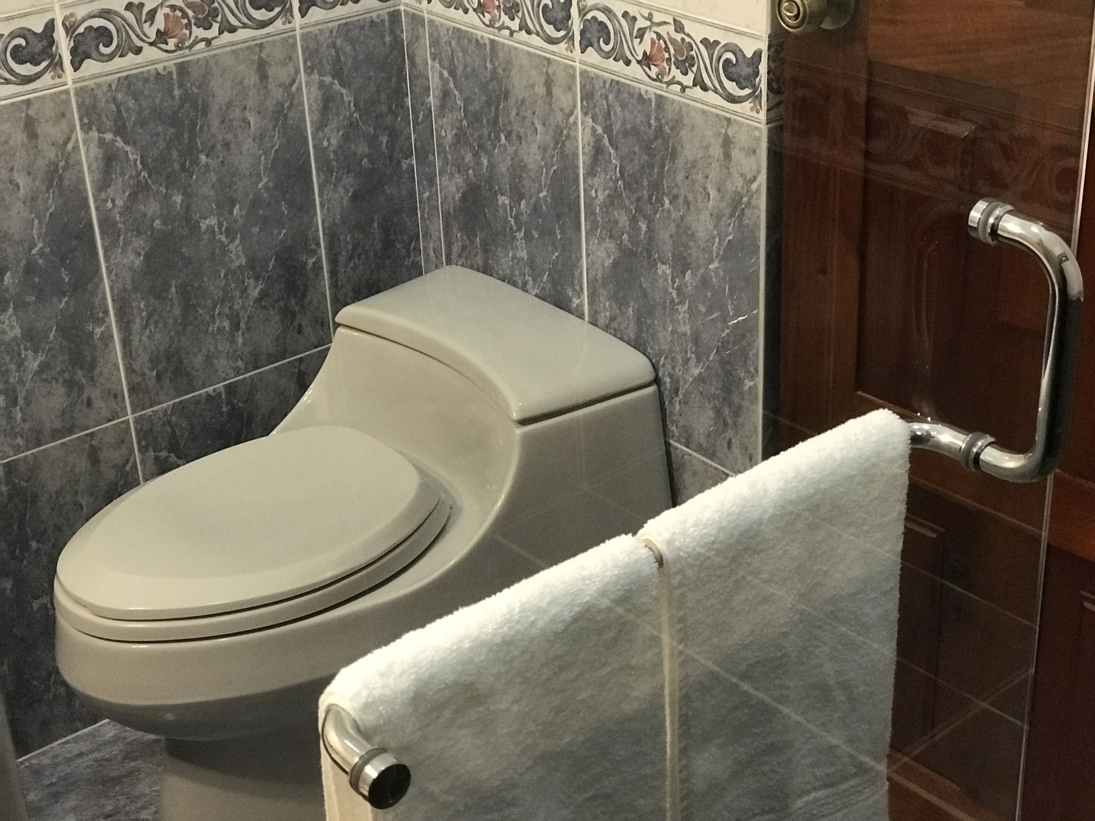 deluxe double room | bathroom | shower, free toiletries, hair dryer, towels