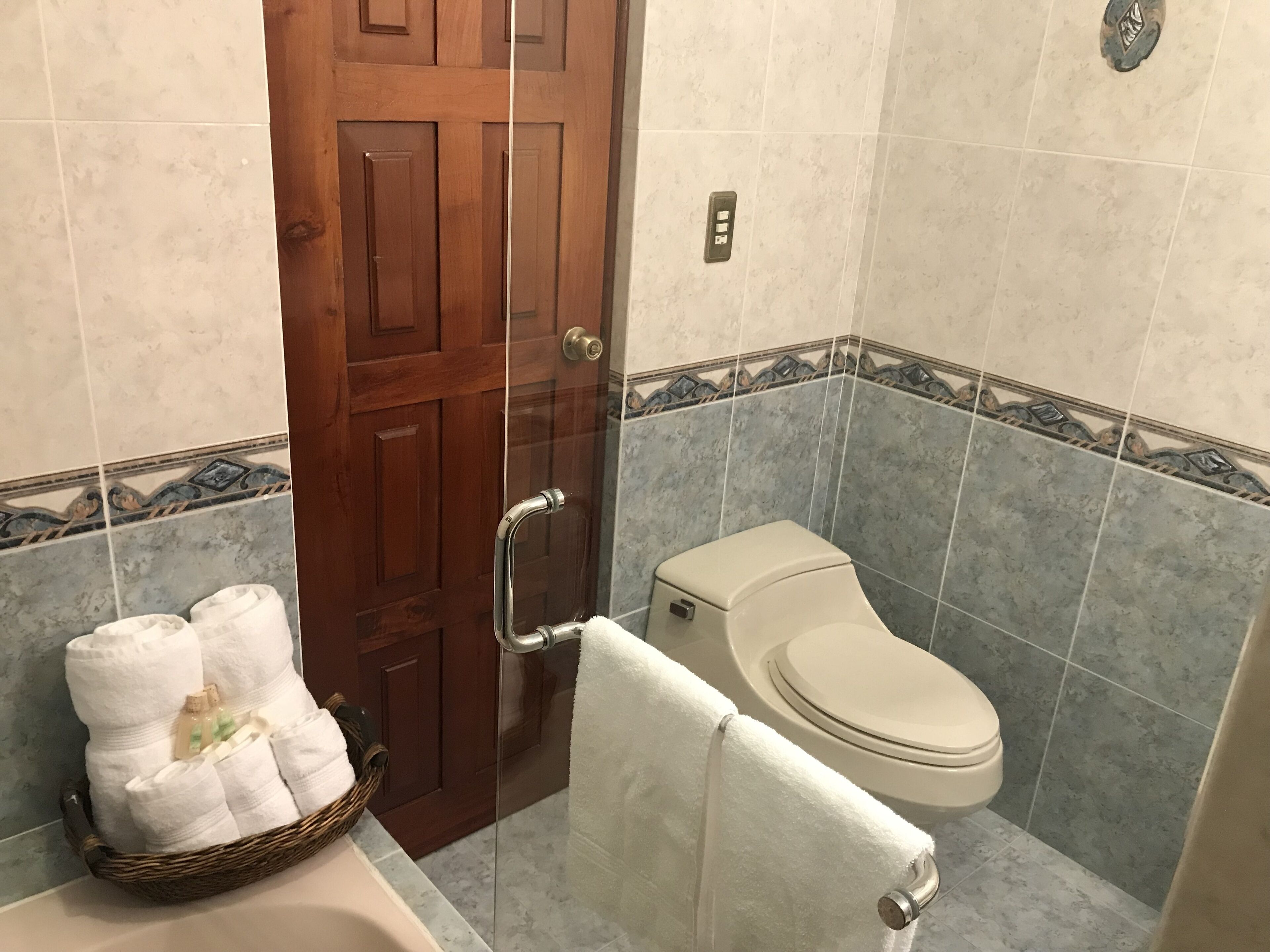 shower, free toiletries, hair dryer, towels