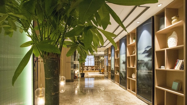 Um corredor com piso de mármore polido, uma grande planta verde e prateleiras com objetos decorativos.