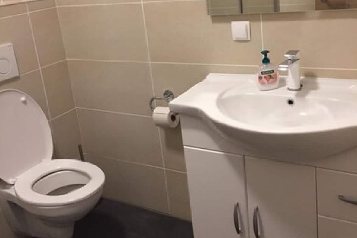 Double Room (Budget) | Bathroom | Shower, hair dryer (on request), towels, toilet paper