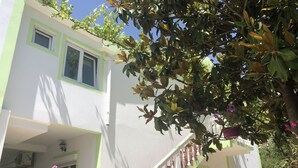 Exterior - Green Villa (Bar)