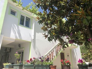 Exterior - Green Villa (Bar)