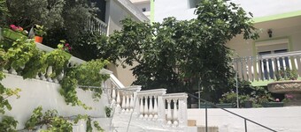Green Villa