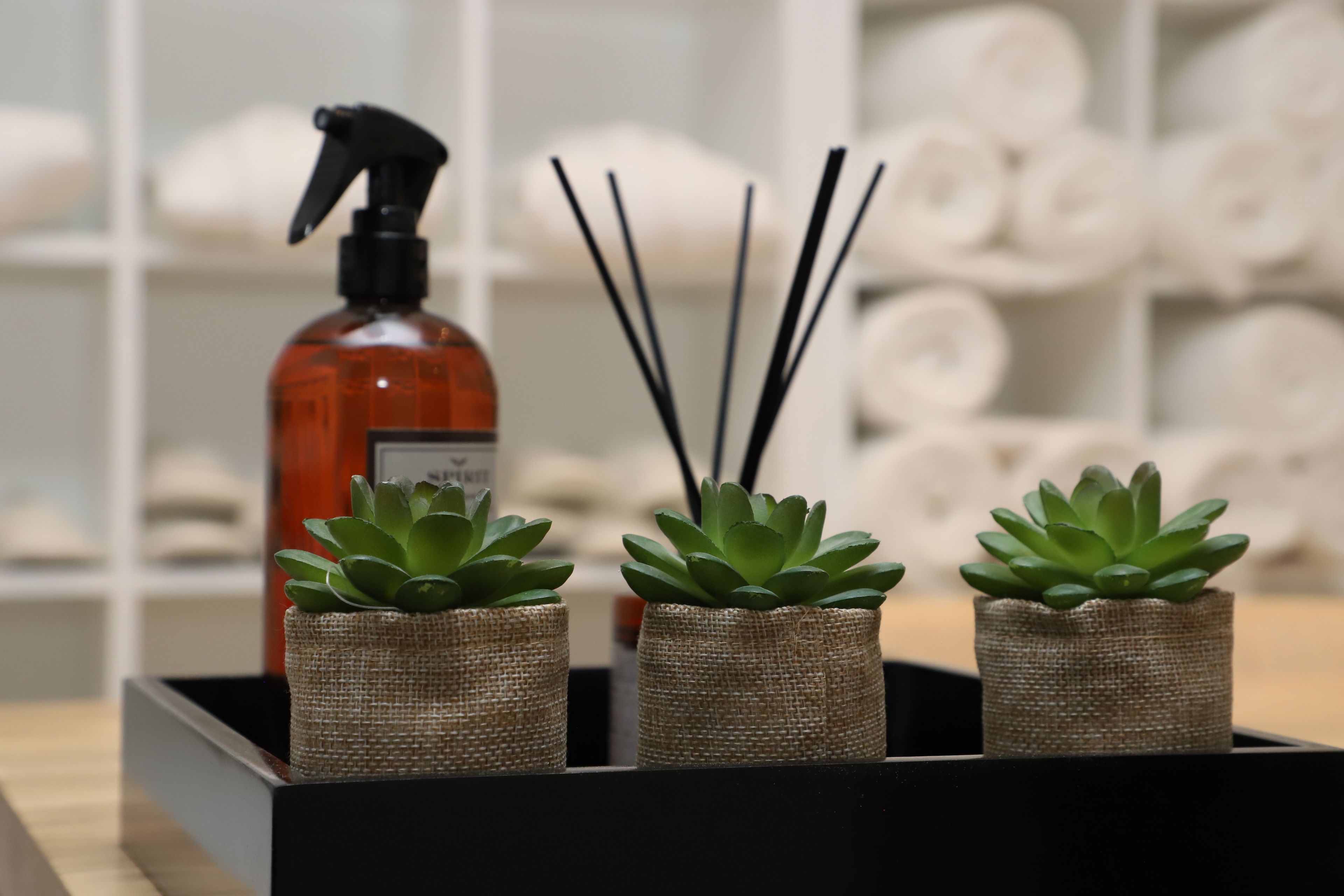 body treatments, hydrotherapy, facials, reflexology, 1 treatment room