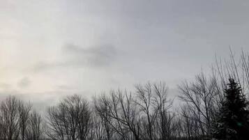 A landscape with leafless trees and a snow-covered ground.