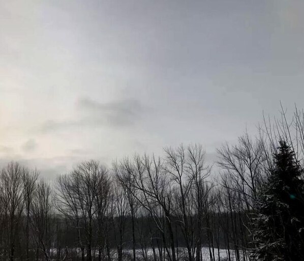 A landscape with leafless trees and a snow-covered ground. - Equestrian House- Dosanko Cottage (Pleasant Mount)