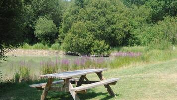 Aire de pique-nique/barbecue