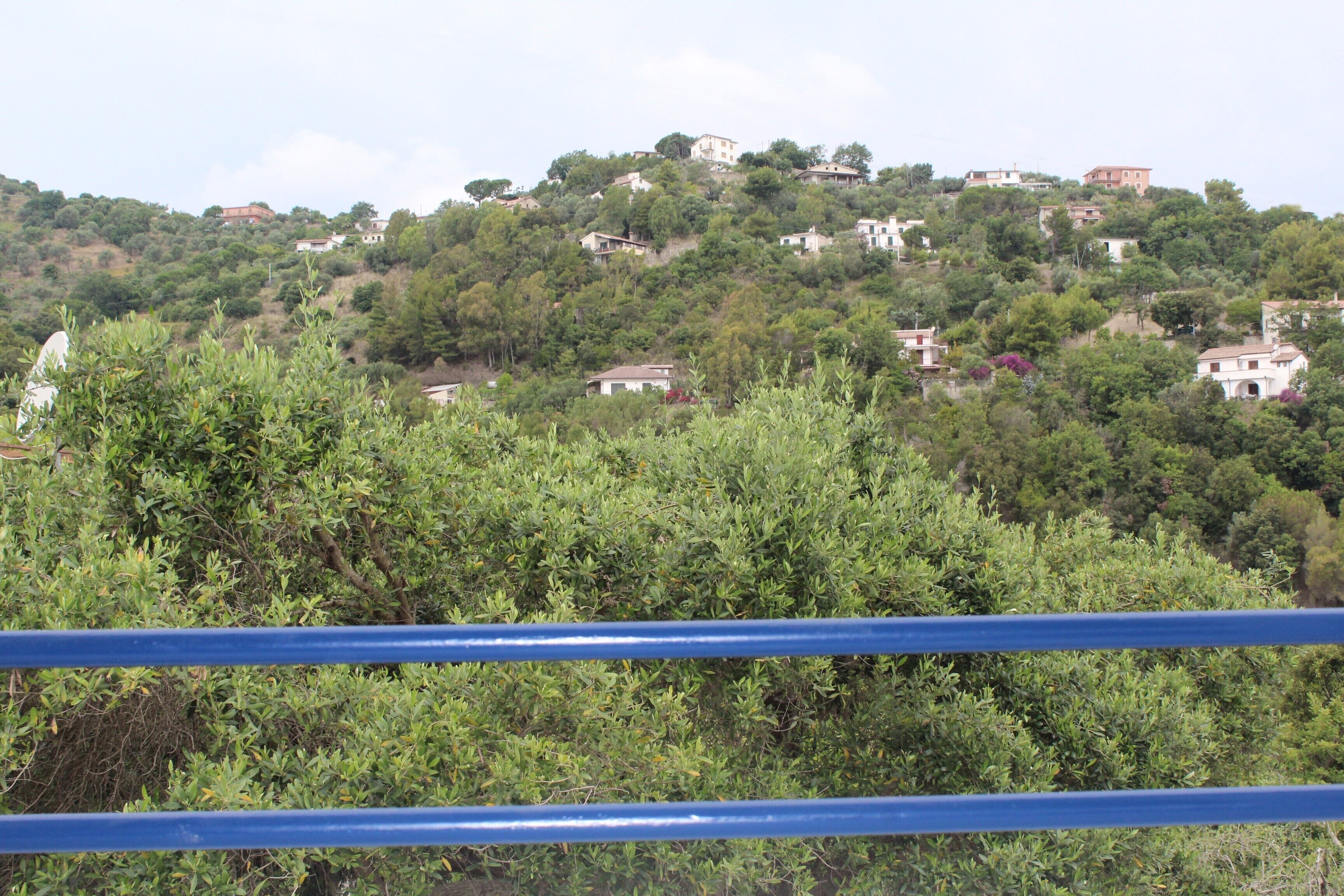 A hillside with multiple buildings, surrounded by dense greenery.