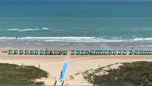 Una spiaggia con file di ombrelloni blu e lettini rivolti verso il mare.