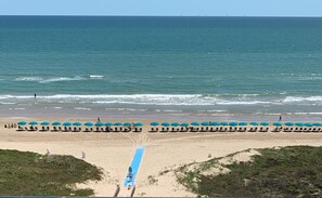 On the beach, sun-loungers, beach towels - Specials! Luxe Oceanfront, WFH, Extra amenities! (South Padre Island)