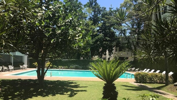 A swimming pool surrounded by lush greenery and a palm tree. - Spacious & Comfortable Penthouse in DR (Santo Domingo)