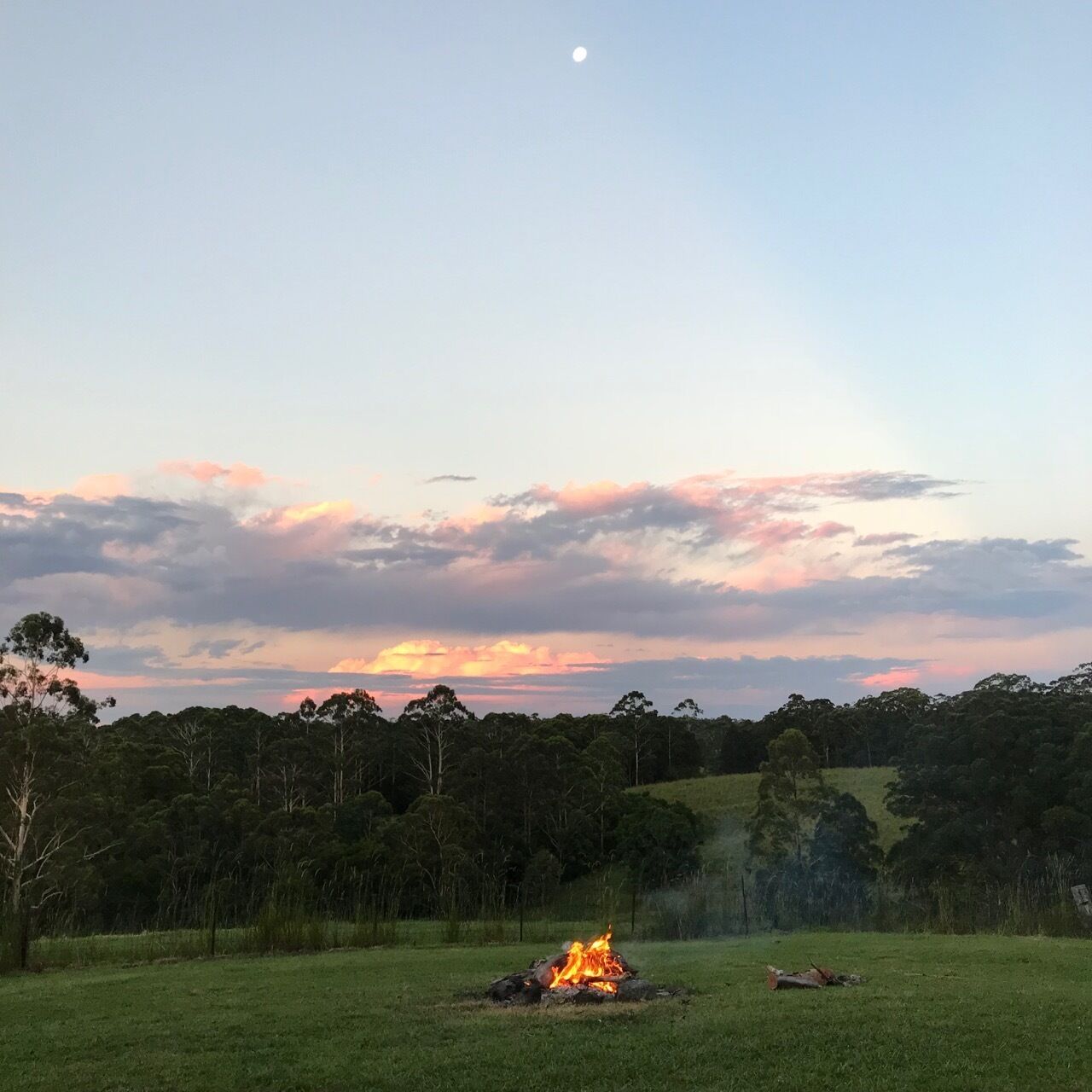 A grassy field with a campfire and trees in the background.