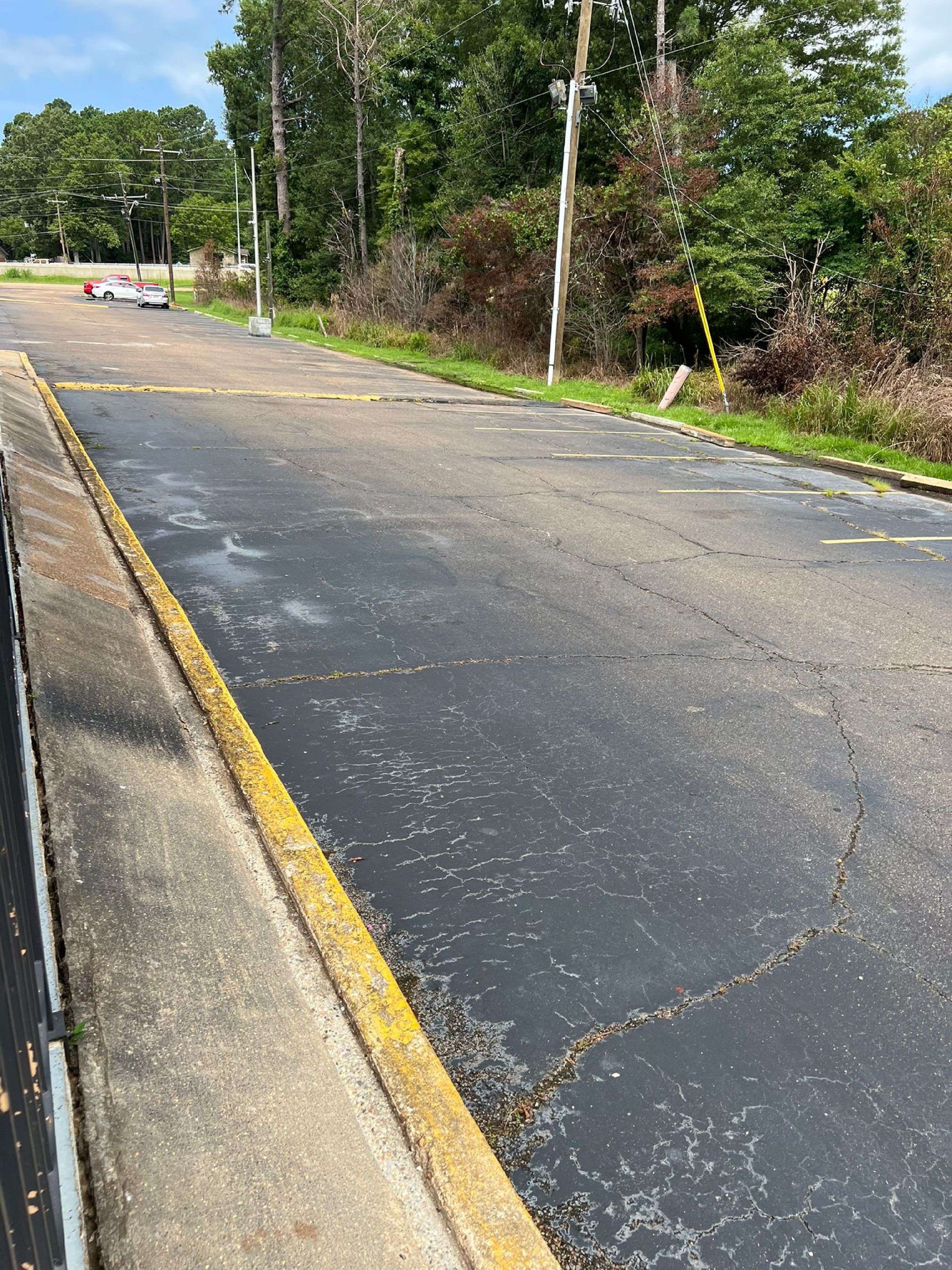 Una strada con evidenti crepe e linee gialle, circondata da vegetazione e pali della luce.