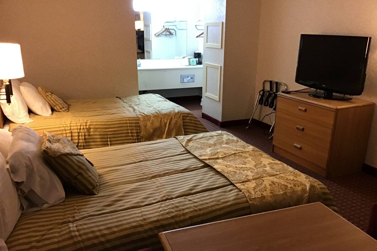 Economy Single Room | Iron/ironing board (on request), WiFi (free)