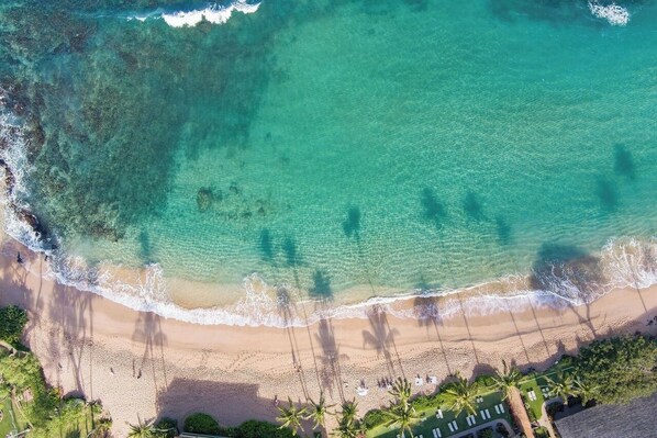 Sun-loungers, beach towels