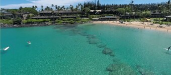 Napili Oasis Hideaway, Amazing Oceanview in Maui