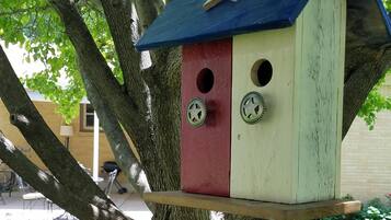 Overnattingsstedets uteområder