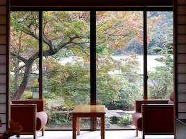 Vista desde la propiedad