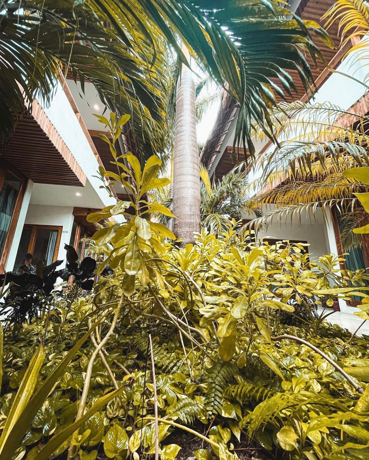 Un lussureggiante giardino interno con diverse piante tropicali, tra cui palme e felci, in un’ampia sala con soffitti alti e grandi finestre.