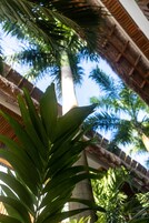 A view of a building with a thatched roof and palm trees.