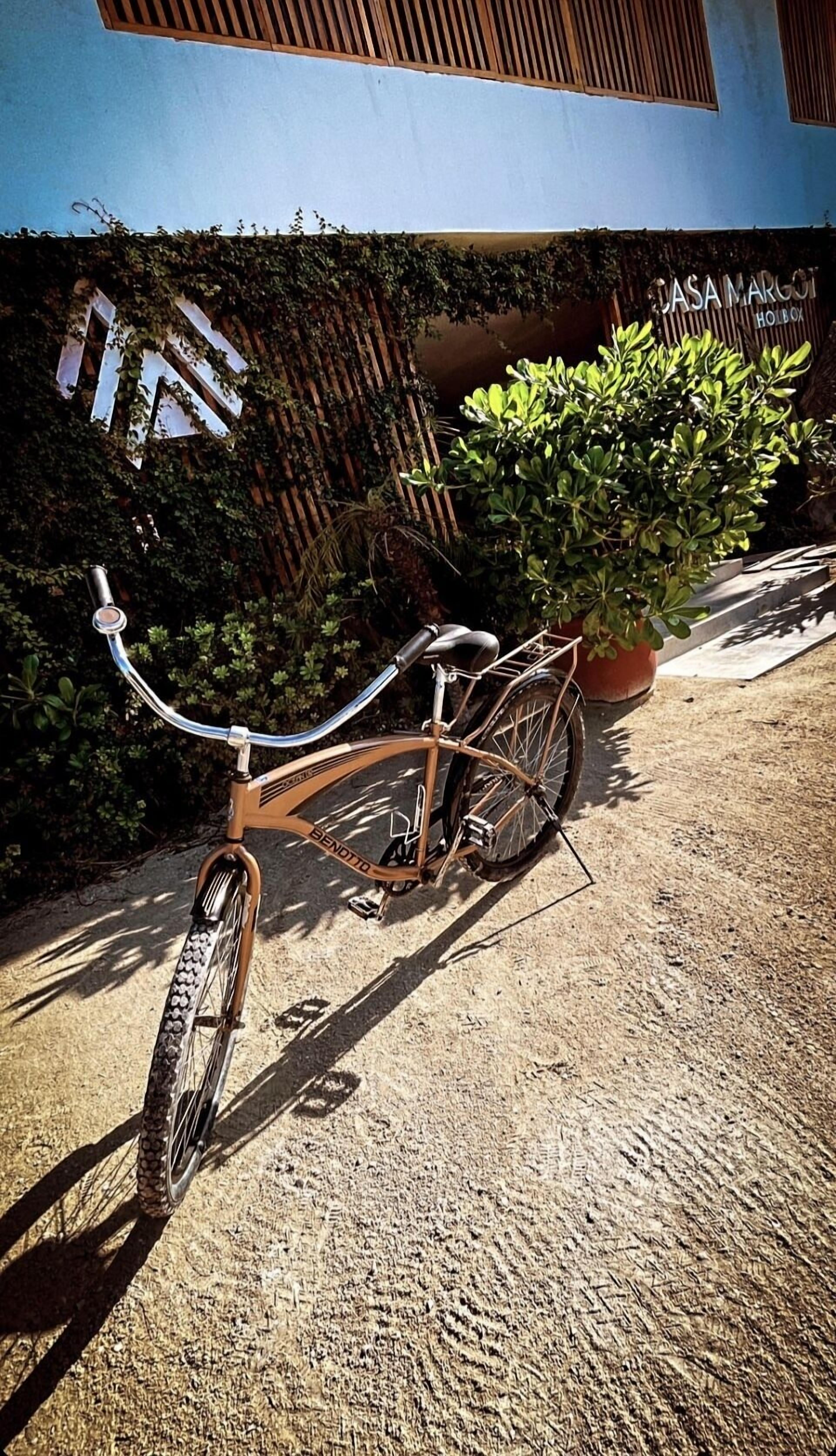 自転車