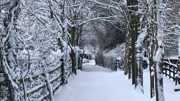 A snow-covered pathway flanked by trees and a wooden fence. - Romantic Lodge on the Pilgrims way, Hollingbourne nestled in the Northdowns (Hollingbourne)