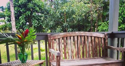 Tule ja pysy kanssamme kauniissa ja rauhallisessa Bird's Nestissä