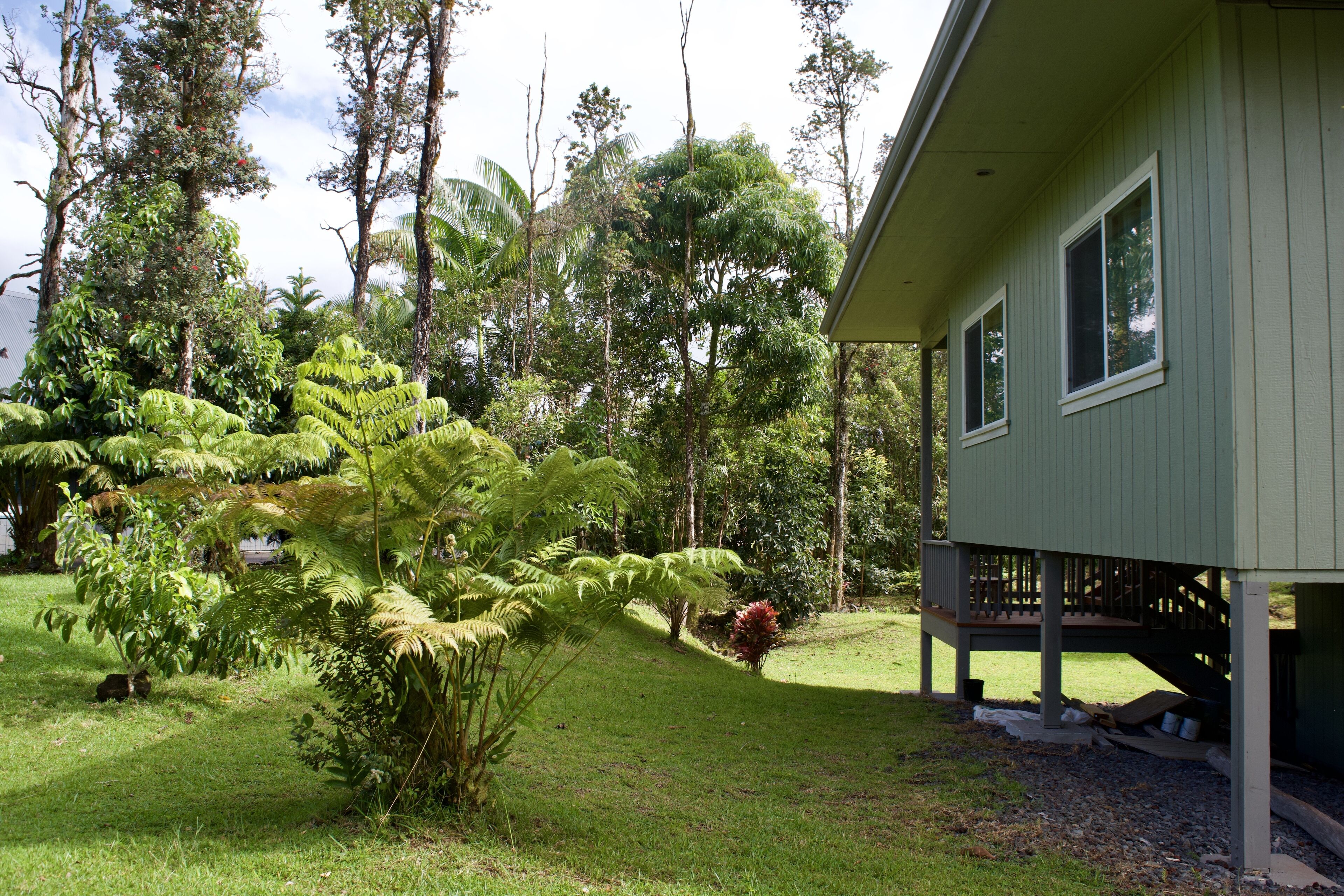 Bedroom side of house with hapu’u fern, red ti & Tahitian gardenia flower