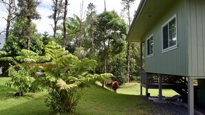 A house with a covered porch and a well-maintained lawn. - Come & stay with us at the beautiful & peaceful Bird's Nest (Keaau)