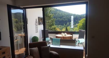 Timeless" apartment, gigantic lake view, fireplace, WLAN, dogs welcome