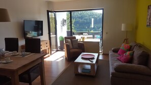 Smart TV, fireplace, DVD player, books