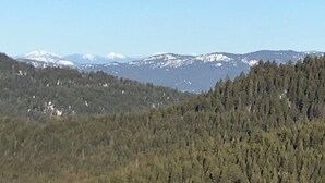 Un paisaje montañoso con bosques densos y cumbres nevadas a lo lejos.