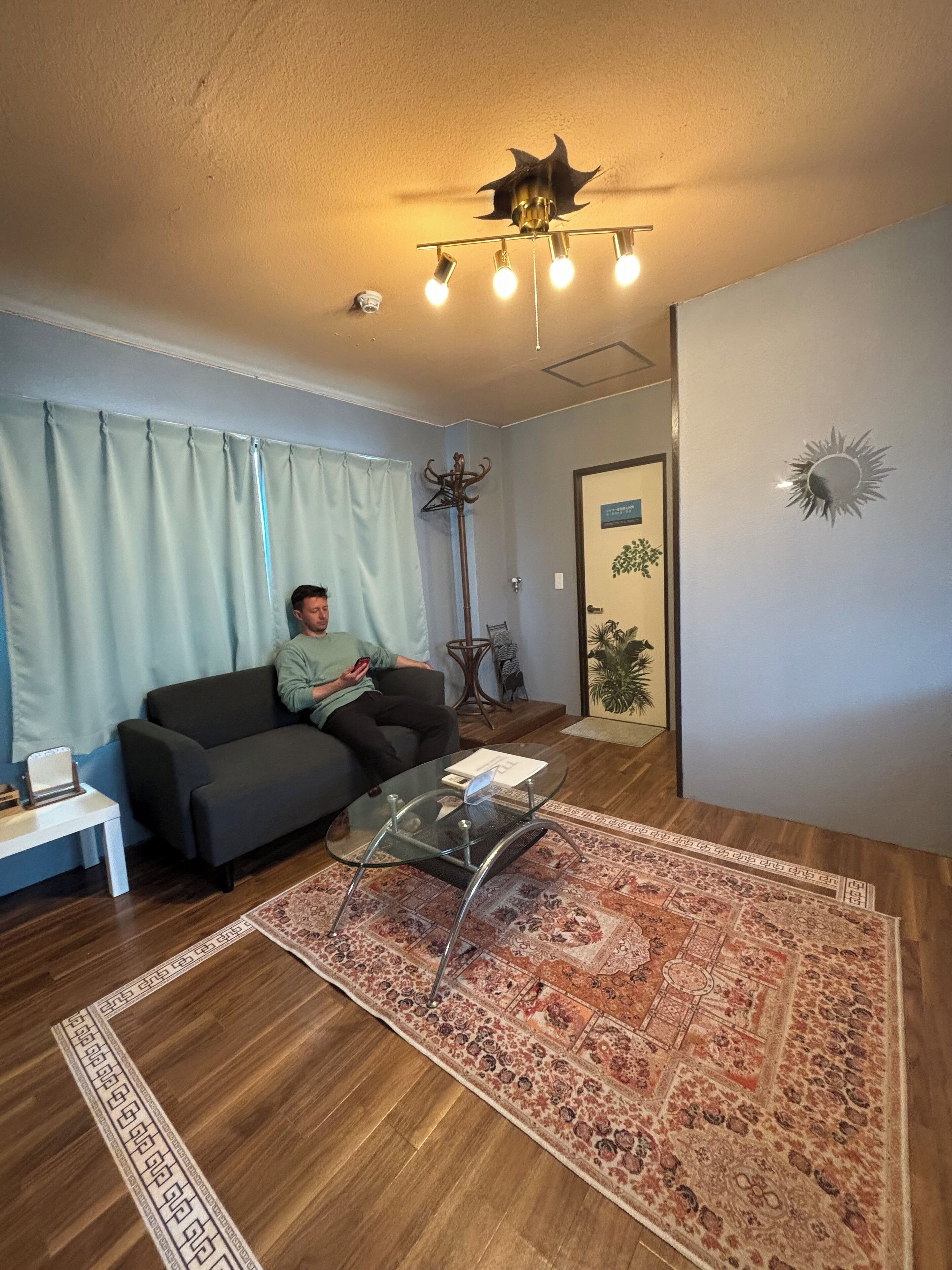 A living room with a sofa, a glass coffee table, a patterned rug, a ceiling light fixture, and a door with a plant.