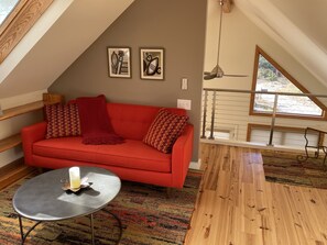 Televisión, reproductor de DVD y libros 