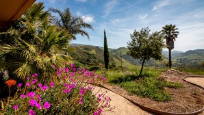 Un jardin où s’épanouissent une grande variété de plantes et de fleurs, un sentier de terre et, en arrière-plan, une vue sur des collines ondoyantes.