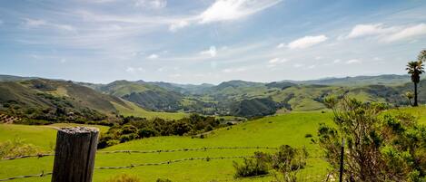 A rural landscape with rolling hills, a wooden post, and a barbed wire fence.