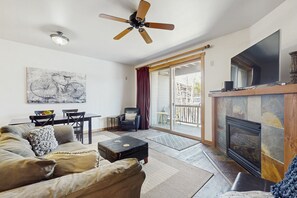 TV, fireplace, DVD player, books