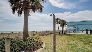 A beachside area with a palm tree, a fenced garden, and a building with a blue facade.