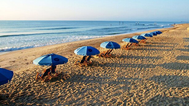 A beach with rows of blue umbrellas and beach chairs aligned along the shoreline.