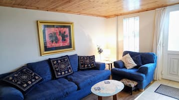 Tv, dvd-spelare, böcker och ett filmbibliotek